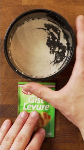 Yeast, Baking Powder, and Baking Soda? Which One to Pick?