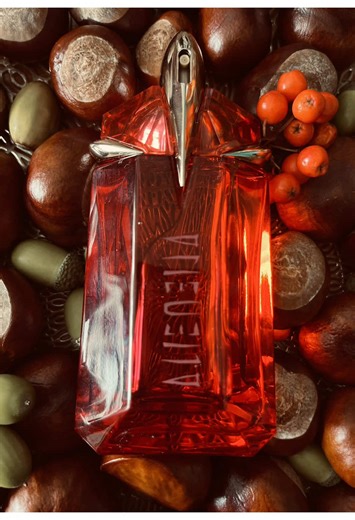 Zapach na czwartek to Alien Fusion. Kocham perfumy marki Mugler, a Fusion na wczesną jesień jest idealny. Pyliste cynamonowe otwarcie pięknie współgra z bsamiczna tuberoza i jaśminem, całość zwieńcza słodka waniliowo- ambrowa baza. To będzie dobry dzień. Jaki zapach wybierasz na dziś ? #perfumydamskie #mugleralien #perfumecollection #sotd #perfumynajesień