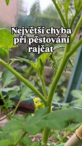 5.9K reactions · 533 shares | Vyštipujete rajčata? Napište do...