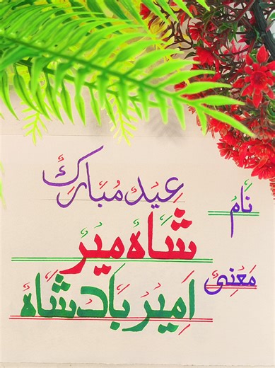 Shahmeer Name Meaning in Urdu