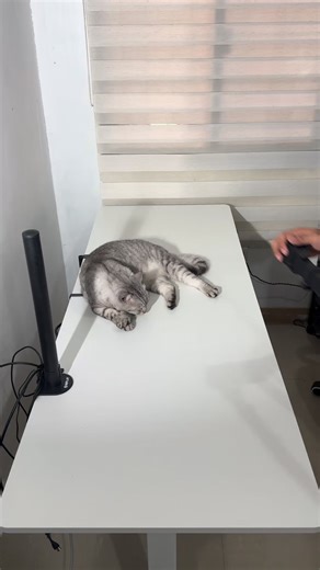 @jmarans on Instagram: "Minimalist Setup Inspo minimalist setup setup inspo gaming setup office setup work setup word station work desk monitor mount laptop mount monitor laptop mount gaming desk gaming table table for work #tech #setup #minimalist #gaming"