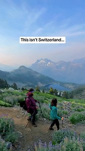Comment “GUIDE” for our Complete Vancouver Island Guide with over 330 things to do and 10 itineraries so you can see the best of the island! 🗺️🤗 (link is also in our bio 👆) As locals, we have been exploring Vancouver Island for over 8 years. Vancouver Island is massive! It can be very overwhelming to plan a trip here and it is very easy to miss out on the hidden gems. But we’ve made it easy for you! 🙌🏻 Our island guide has been meticulously curated, featuring all the must-visit hotels, rest