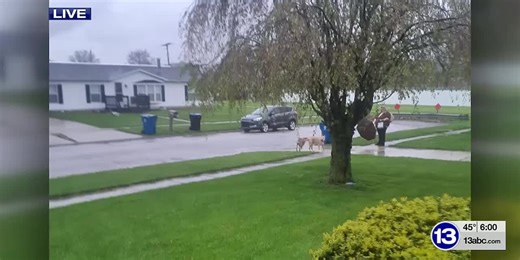 Oregon woman attacked by dogs