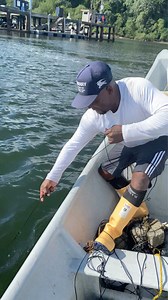 Pesca pesada con espinel 💪🐟🎣🇨🇴 | Joel cortes