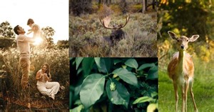 These books tell us why we ignore plants, and what we are missing out on as a result