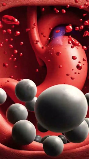 This Is What Pizza Does Inside Your Body 🍕😱