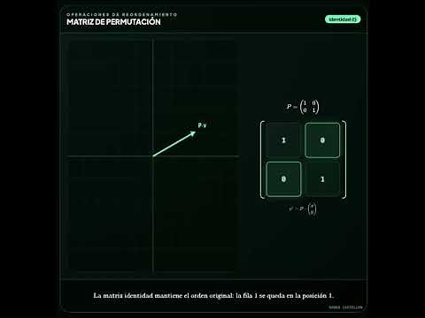Permutation Matrix