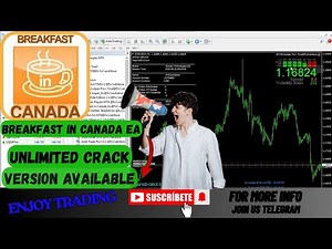 Best MT4 EA Setup: Breakfast In Canada v4.1 | All Builds Supported | NO DLL | Best Forex EA 2025|