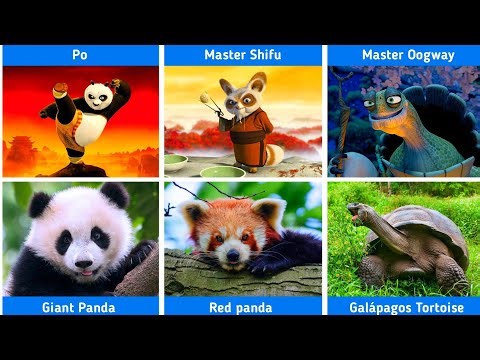 Kung Fu panda characters in real life