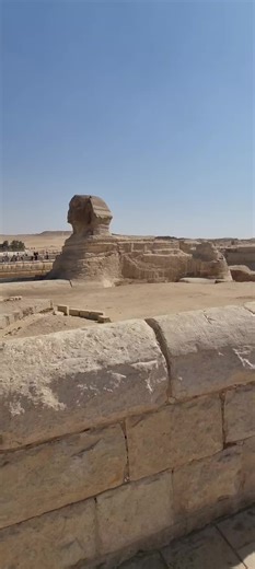 traci hensley on TikTok