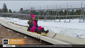 Let's Go Places | Alpine Slide in Big Bear