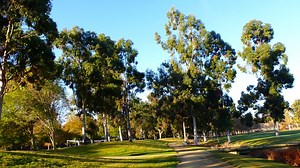 25 Best & Fun Things to Do in Sunnyvale (CA) - Attractions & Activities