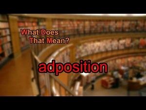 What does adposition mean?