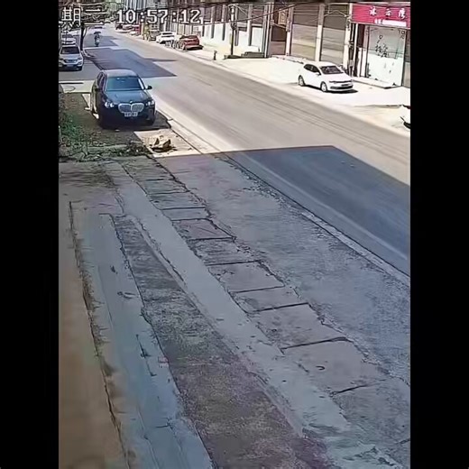 Did this driver buy his license?🤣