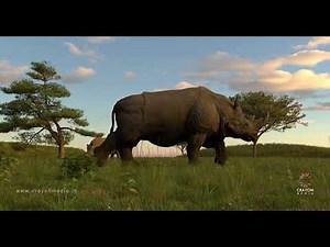 Rhinoceros 3D animation