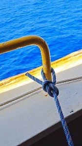 Cowboy bowline for everyone. #everyoneシ゚ #fbreels #fypシ #trend #reelsvideoシ #outdoors #skills #fb #handmade #ideas #howto #knot #tutorial #highlights #rope | Iconic Knots