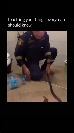 Teaching You things that nobody does on Instagram: "People think you can control a snake and trap it in a bottle — but real life doesn’t work like viral clips. Snakes react fast, unpredictably, and stress can make them strike or suffocate when confined.” What actually keeps people safe is distance, calm movement, and calling trained wildlife rescuers who use proper tools. Respect for wildlife + professional handling = safety for everyone. Safety note: Never attempt to catch, control, or bottle a