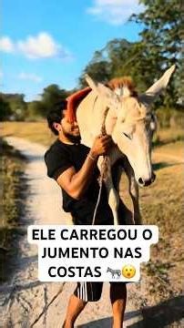 ELE CARREGOU O JUMENTO NAS COSTAS 🫏😮
