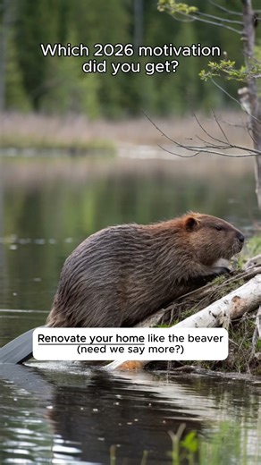 Look to nature to get motivated in 2026. Whether it's saving as much as you can or traveling far away, wildlife seems to always get it right. What did you land on? 💚 | The Nature Conservancy