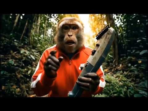 Mai adha Ganja Ho gaya😂 #monkeyvlogger #aimonkeyshorts #monkeyvideo #money