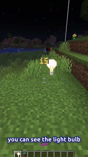 Minecraft HIDDEN Light block