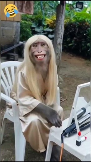 Monkey 🐒 Mecup Vs Rat Hair Style Funny 🤣 #Sho #Yt #Shots