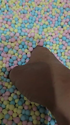 toy hunt - bumble bee