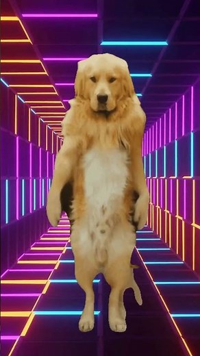 Apate apate APT SONG funny remix😅😅 #apt #funnycat #cat #apt #catvideos #ytshorts #cute #dancecat