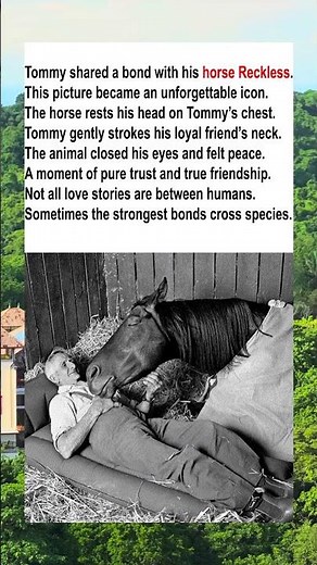 A Man and His Horse, A Bond Forever 🐎 #Friendship #Horse #Inspiring #AnimalBond #HorseAndMan #Iconic