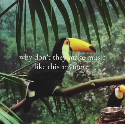 #2010snostalgia #nostalgia #katyperry #vevo #2008kids #09 #viral? #childhood #roar