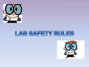 LAB SAFETY RULES - SlideServe