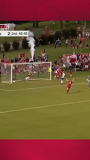 We couldn't imagine a more beautiful thing🤩 | Arkansas Razorbacks