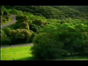 Car jump scare video