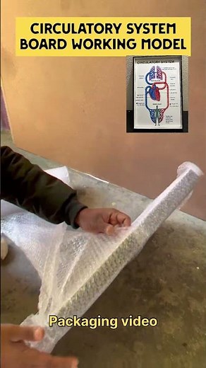 Circulatory system board Working model #schoolmodels #circulatory_system #biology