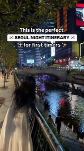 More things to do in Seoul at night 👇 I booked this Seoul night tour on @klooktravel (use DANAKLOOK for 10% discount) so transport is covered and I can explore in a short amount of time Extra things do at night in Seoul: ✨ walk through the streets of Hongdae ✨ Banpo Bridge Moonlight Rainbow Fountain Show ✨ try street food at the Myeongdong Night Market ✨ relax by the Han River ✨ unwind at a jjimjilbang (Korean bathhouse/spa) . . . . . . . Things to do in Seoul night, night activities in Seoul, 
