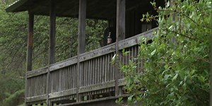 Family of Loretta Lynn keeps her home place open