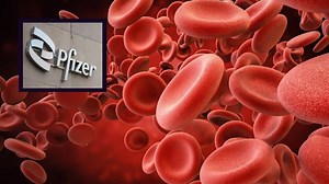 Pfizer therapy for hard-to-treat blood cancer granted FDA accelerated approval