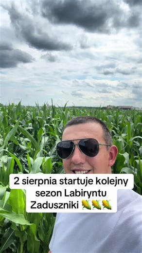 Labirynt Kukurydzy w Zadusznikach - Lato 2023!