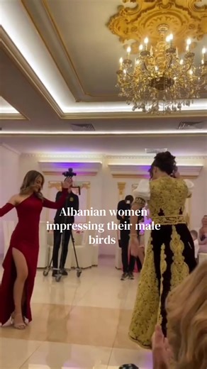 #tallava #🇦🇱 #fyp #nuse #viral