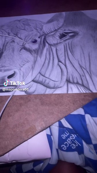 Realistic Pencil Drawing of a Bull's Head