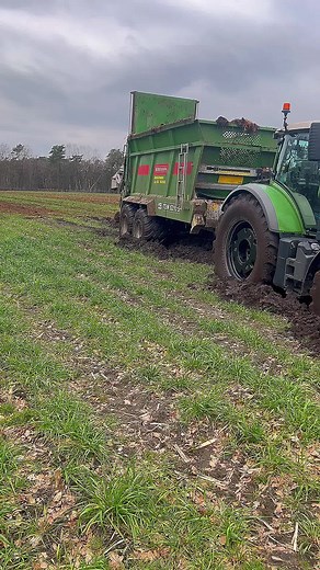 #fendt #miststreuen #bergmann #festgefahren