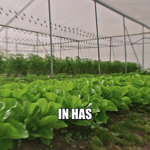 →Ready to unlock what your DNA reveals about your health? 🧬 You've been searching for truly personalized health optimization—now take the next step. Our Precision Genetic Test analyzes 700 TRILLION genetic possibilities to create a health blueprint uniquely yours. Unlike the generic supplements and one-size-fits-all advice you've tried before, we deliver: → Custom supplement formulations based on YOUR genetic code → Precise nutrient dosing with microgram accuracy → 900 foods evaluated against y