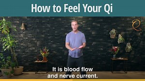 This is how Lee described the step-by-step technique to feel your Qi that he shares in this short video, How to Feel Your Qi: One of my students came to me. He was all bummed out. He said, "I've been practicing Qi Gong for a few weeks and I just can't feel what you describe in class. I don't feel that buzzing, that tingling, that elevation." I asked him, "Well, what do you feel?" He said, "Some warmth, maybe a little relaxed, I'm not totally sure." So what I did is I developed a little step-by-s