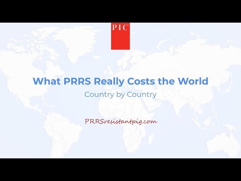 What PRRS Really Costs the World | Country by Country