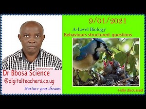 A-level biology lesson 65: Behaviours structured questions by Dr. Bbosa Science