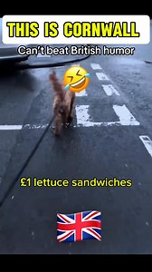 205K views · 1.9K reactions | Jethro, my favourite Cornish Comedian. 'Christmas Crackers' Hilarious  #Jethro #britishtv #fblifestyle | Doc Martin | Facebook