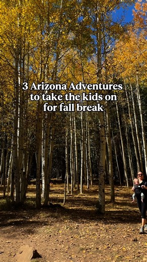 Are you still planning fun for the kids fall break? Here are a few great ideas! All of which can be day trips from the Phoenix valley 1. Jerome AZ - largest ghost town in America! Visit Gold King Ghost Town, eat at the Haunted Hamburger actual haunted restaurant, and see the Audrey Headframe Mine Shaft 2. Flagstaff AZ - best fall vibes. Walk the downtown shops, eat pizza, sip a pumpkin spice latte and go to see the Aspen change colors, it’s magical 🥹🍂 3. For a day near the Phoenix valley check