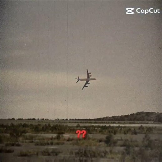 American International Airlines Flight 808