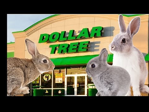 $ Dollar $ Tree Haul ~ For Bunnies and Rabbits