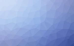 Traitement de l'eau par boues activées